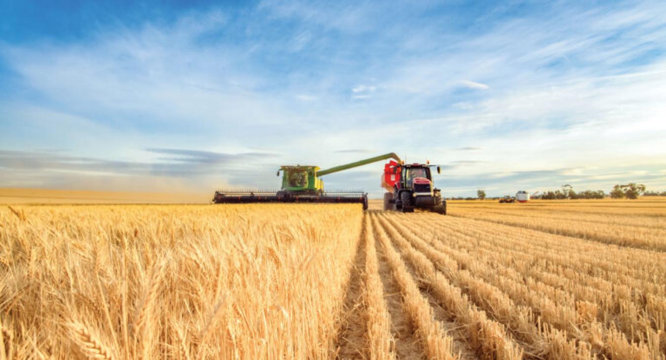 harvest
