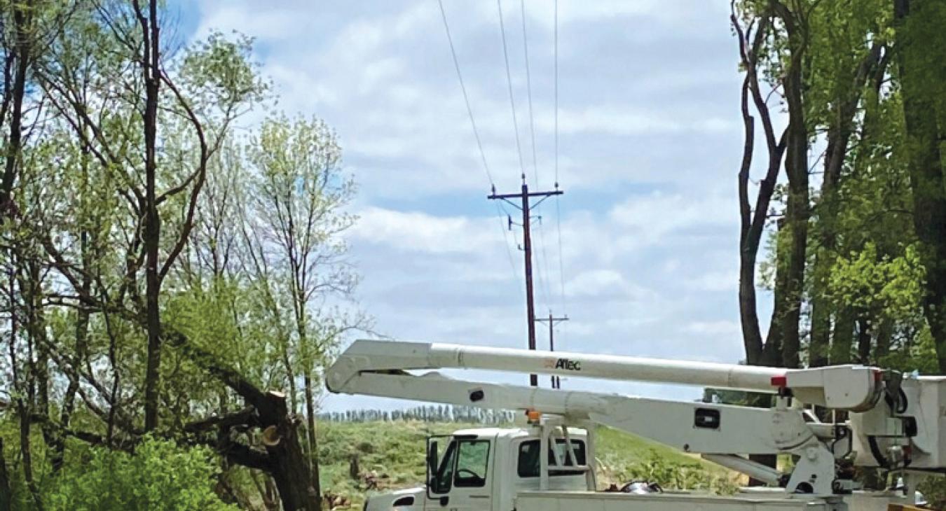 Trimmed Trees Are Safe Trees