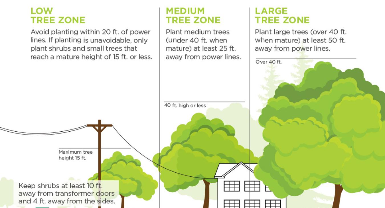 REMINDER: Keep shrubs at least 10 ft. away from transformer doors and 4 ft. away from the sides.